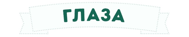 Глаза собаки Глаза собаки