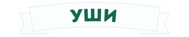 Уши собаки Уши собаки