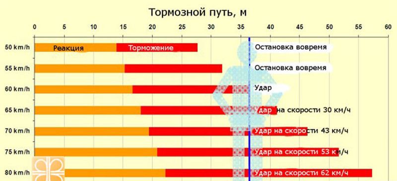 Зона видимости пешехода или движение на автомобиле в условиях недостаточной видимости