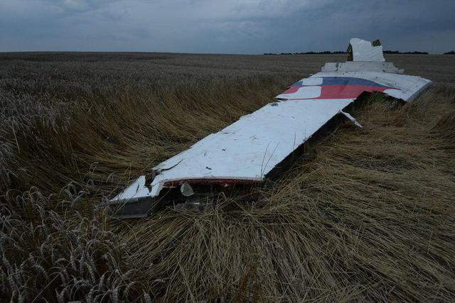 Последствия расстрела российскими боевиками малайзийского Боинга. ФОТОрепортаж Последствия расстрела российскими боевиками малайзийского Боинга. ФОТОрепортаж