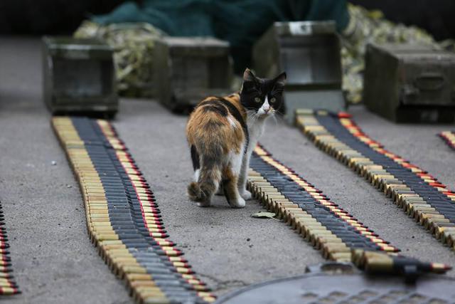 Украинские воины на страже Мариуполя. ФОТОрепортаж из зоны АТО Украинские воины на страже Мариуполя. ФОТОрепортаж из зоны АТО