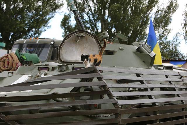 Украинские воины на страже Мариуполя. ФОТОрепортаж из зоны АТО Украинские воины на страже Мариуполя. ФОТОрепортаж из зоны АТО