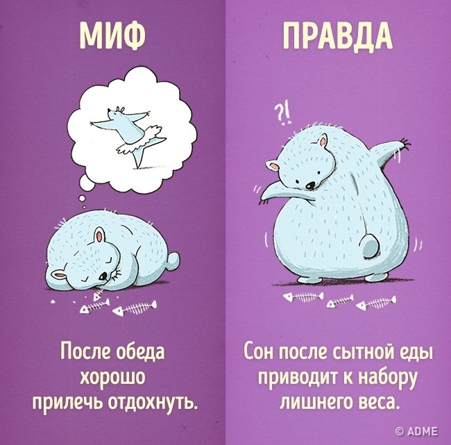Вредные привычки, которые мы напрасно считаем полезными Вредные привычки, которые мы напрасно считаем полезными