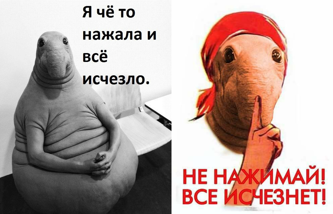 Ждун — самый милый мем Ждун — самый милый мем