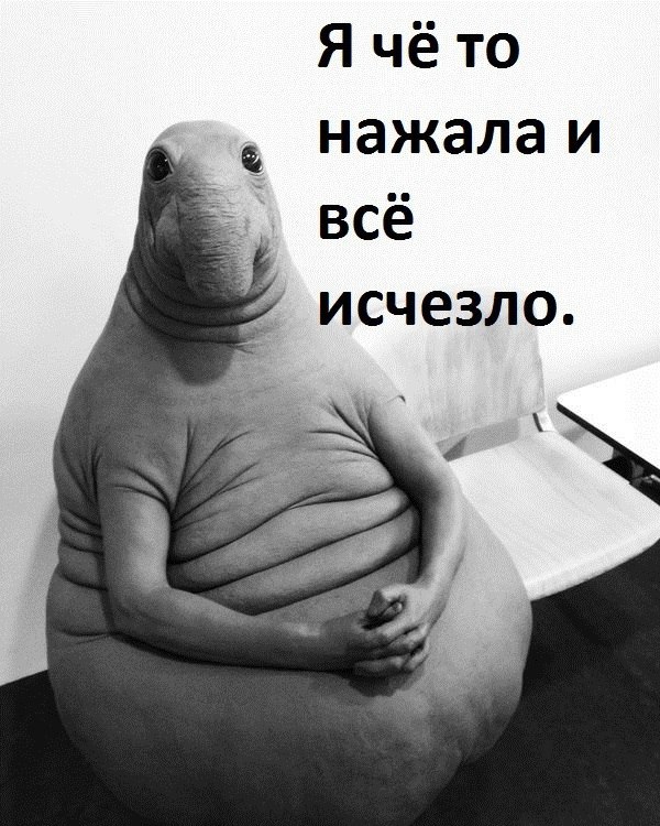 Ждун — самый милый мем Ждун — самый милый мем