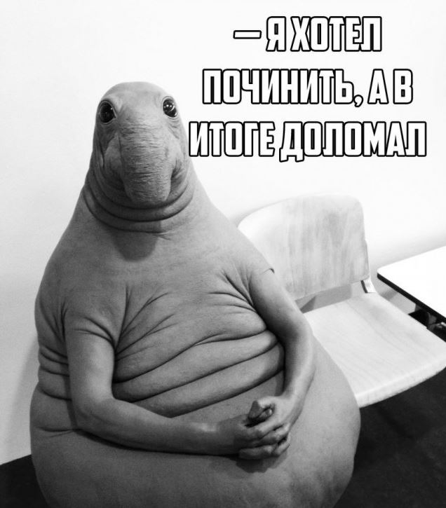 Ждун — самый милый мем Ждун — самый милый мем