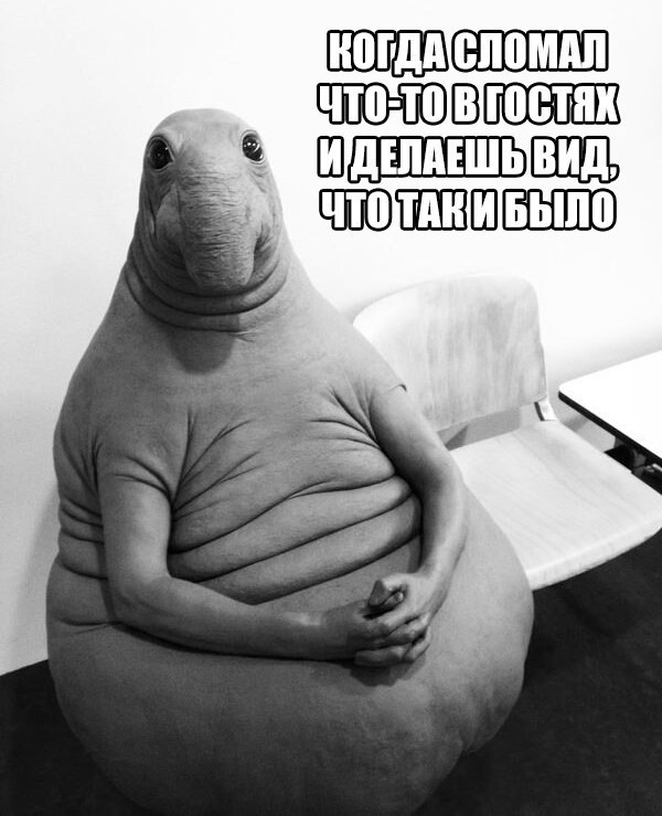 Ждун — самый милый мем Ждун — самый милый мем