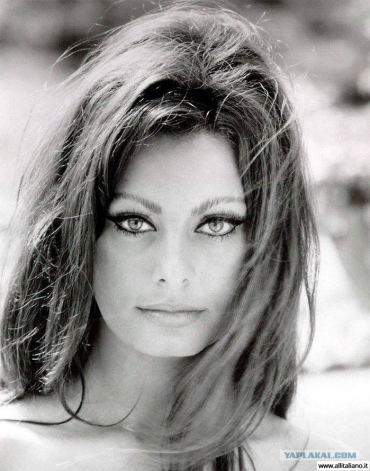 Актриса, Певица, Шикарная Софи Лорен (Sophia Loren)