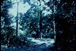 Bachelors Grove Bachelors Grove