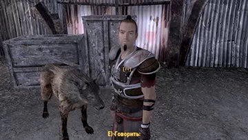 Fallout: New Vegas. Форт Форт