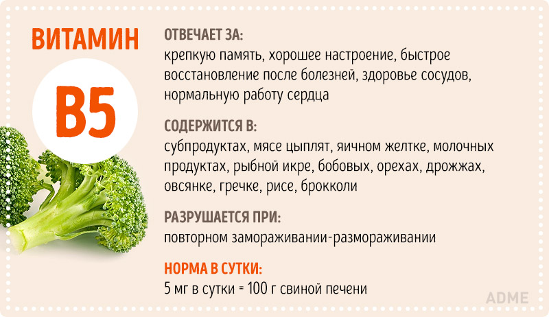 Инфографика Всё о витаминах Инфографика Всё о витаминах