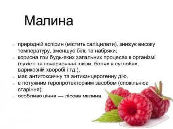 малина