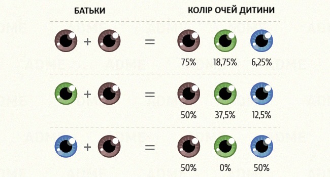 Якого кольору будуть очі у моєї дитини? Якого кольору будуть очі у моєї дитини?