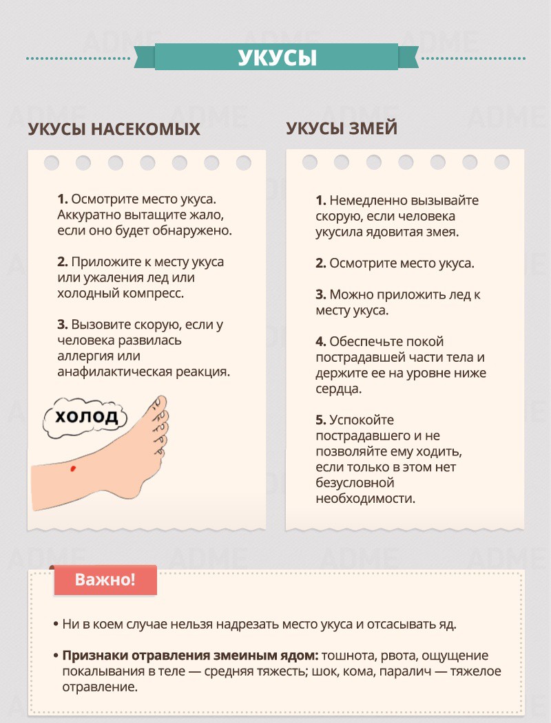 Укусы - Гид по оказанию первой помощи Укусы - Гид по оказанию первой помощи