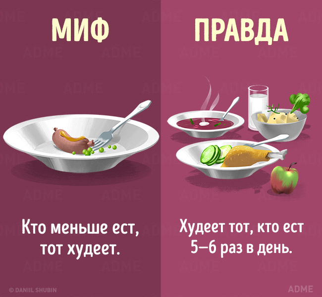 Мифы о здоровом питании Мифы о здоровом питании