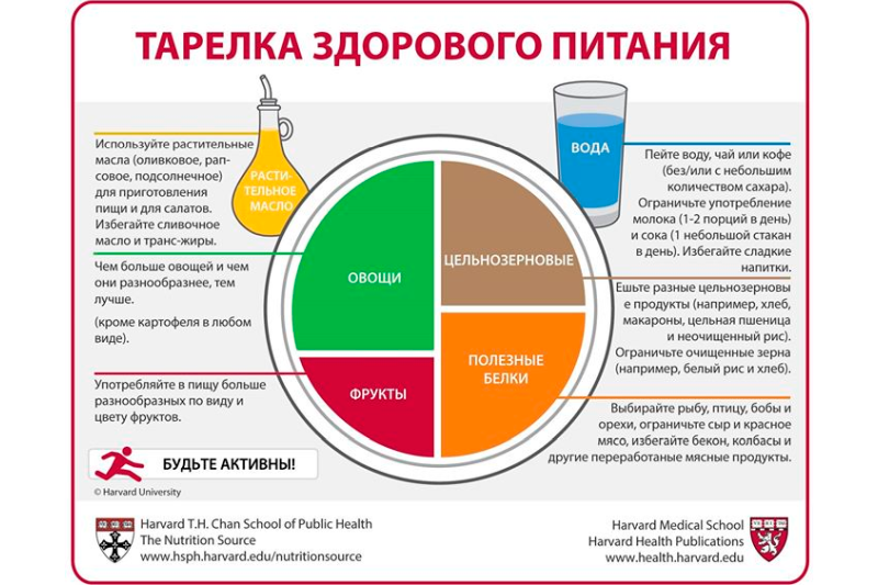 Тарелка здорового питания Тарелка здорового питания