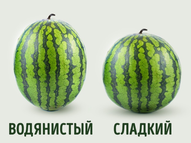 Как правильно выбрать арбуз Как правильно выбрать арбуз