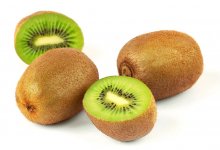 Актинидия – Actinidia L.