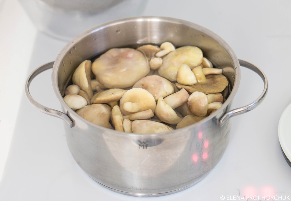 Маслята Маринованные Маринованные маслята