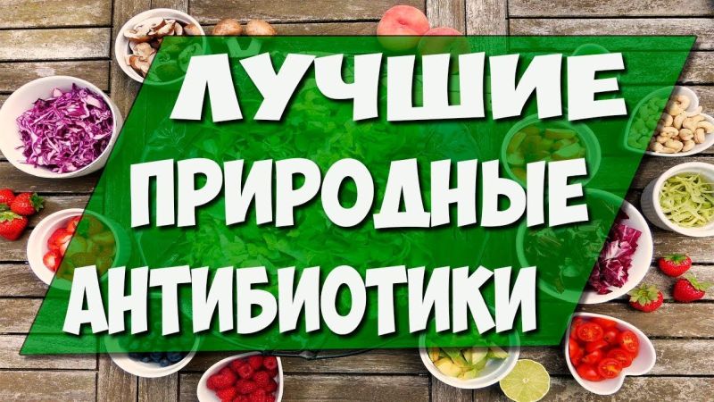 Ученые назвали самые лучшие природные антибиотики Природные антибиотики