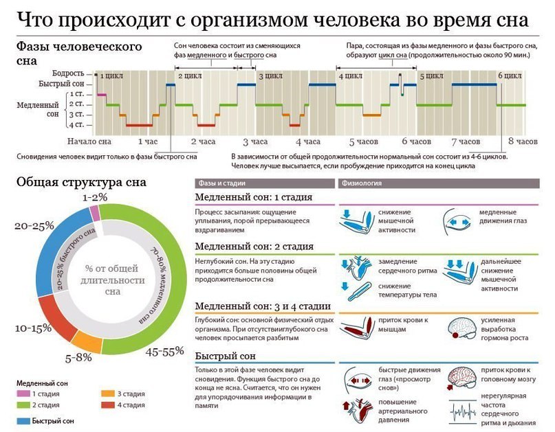 Процессы, которые происходят с человеком во время сна Процессы, которые происходят с человеком во время сна