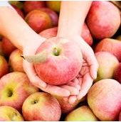 Топ-10 продуктов для плоского живота Яблоки Топ-10 продуктов для плоского живота Яблоки