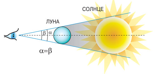 Секреты зрения и наука геометрия Секреты зрения и наука геометрия