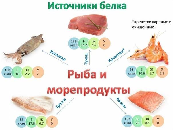 Источники протеина (белка) Источники протеина (белка)