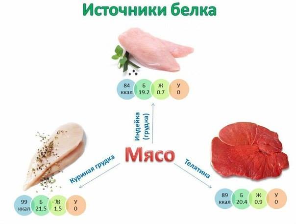 Источники протеина (белка) Источники протеина (белка)