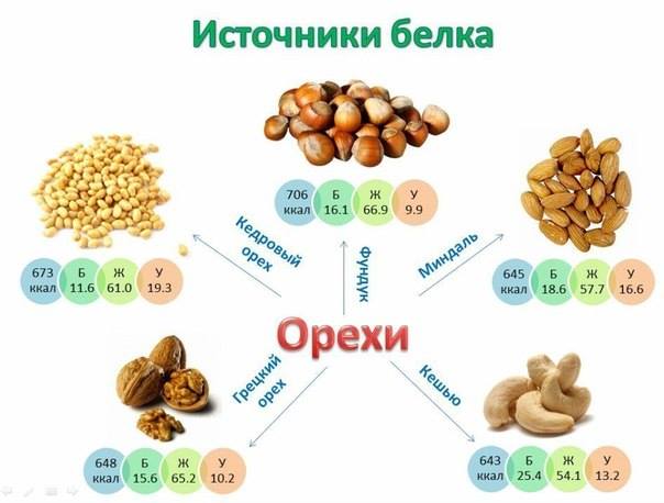 Источники протеина (белка) Источники протеина (белка)