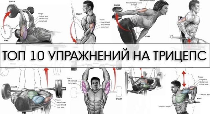 Упражнения для построения могучих трицепсов Упражнения для трицепсов