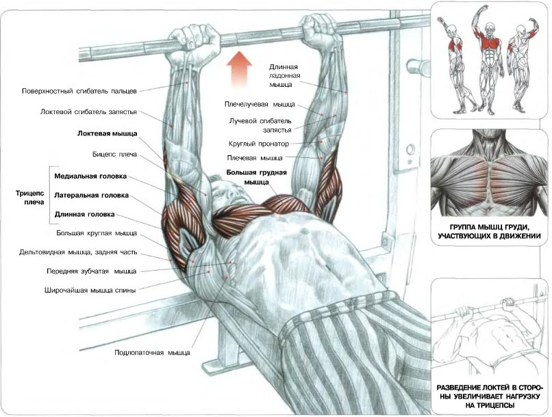 Жим лежа узким хватом - Упражнения для трицепсов