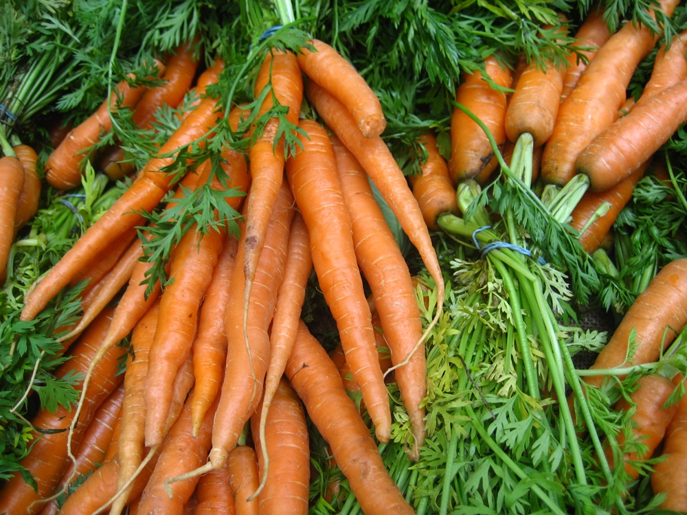 Морковь - История каждого овоща