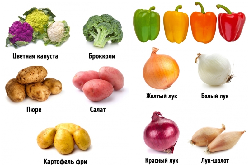 Памятка как выбрать правильные и свежие овощи Памятка как выбрать овощи