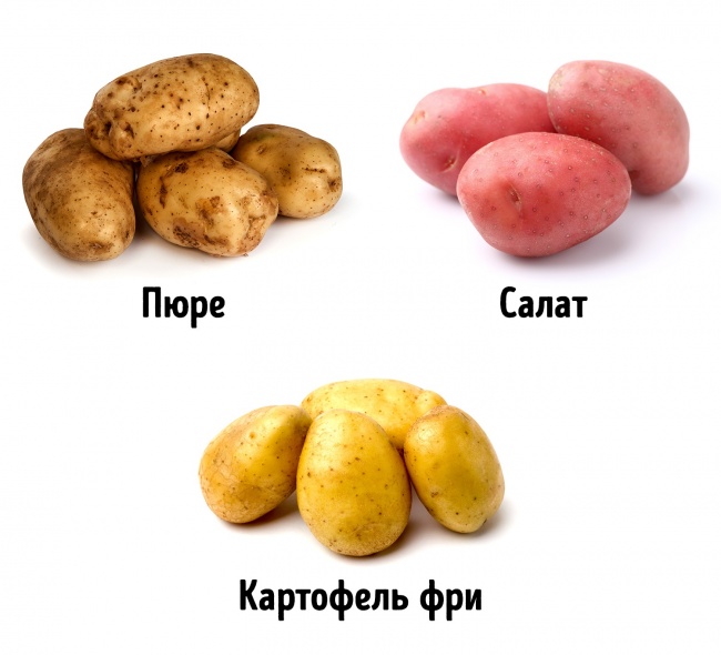 Памятка как выбрать правильные и свежие овощи Памятка как выбрать овощи