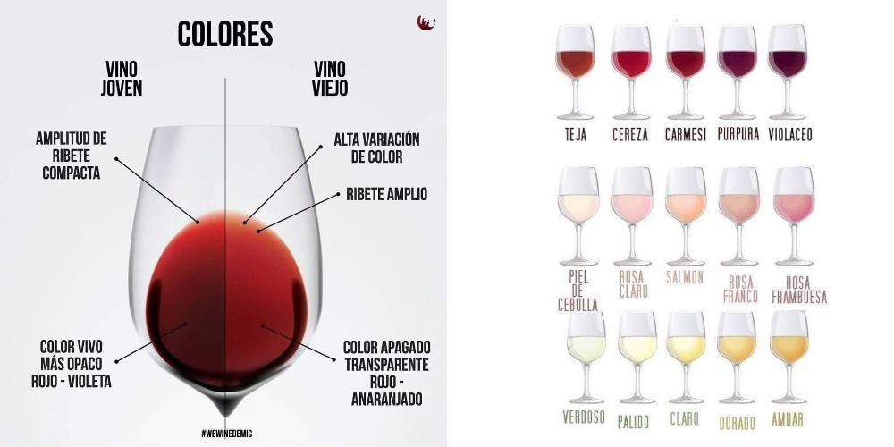 Кольори вина: Червоне, біле, рожеве wine-colors-red-white-pink0.jpg