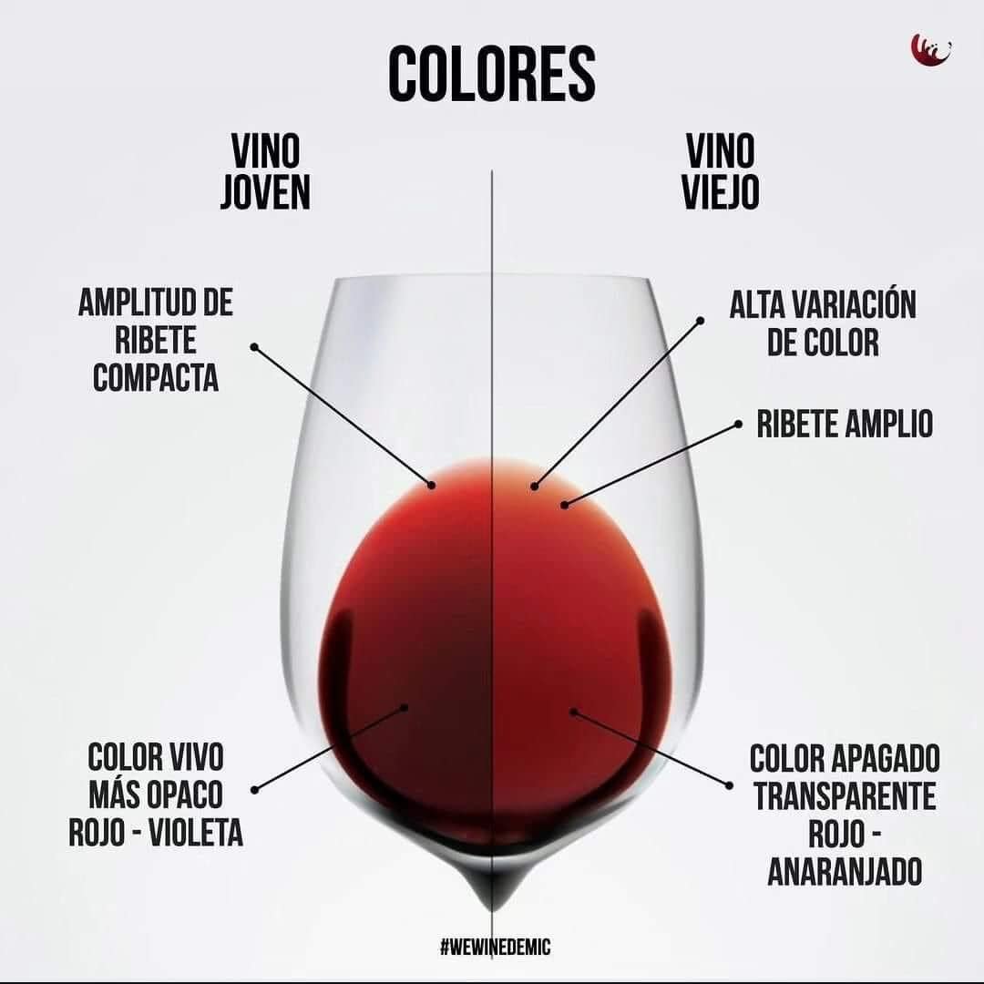 Кольори вина: Червоне, біле, рожеве wine-colors-red-white-pink1.jpg