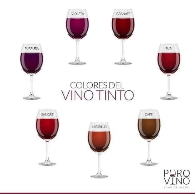 Кольори вина: Червоне, біле, рожеве wine-colors-red-white-pink2.jpg