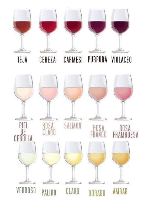 Кольори вина: Червоне, біле, рожеве wine-colors-red-white-pink3.jpg