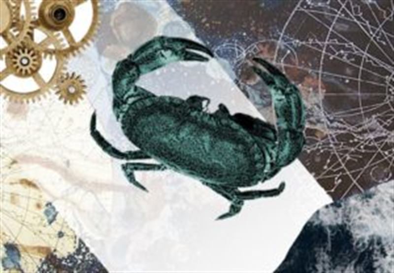 Рак 22.06 - 23.07 - Гороскоп на 2017 год Рак 22.06 - 23.07 - Зодиакальный гороскоп на 2017 год