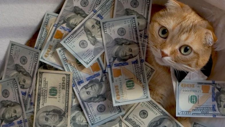 Топ 7 знаков Зодиака, к которым липнут деньги Знаки к которым липнут деньги