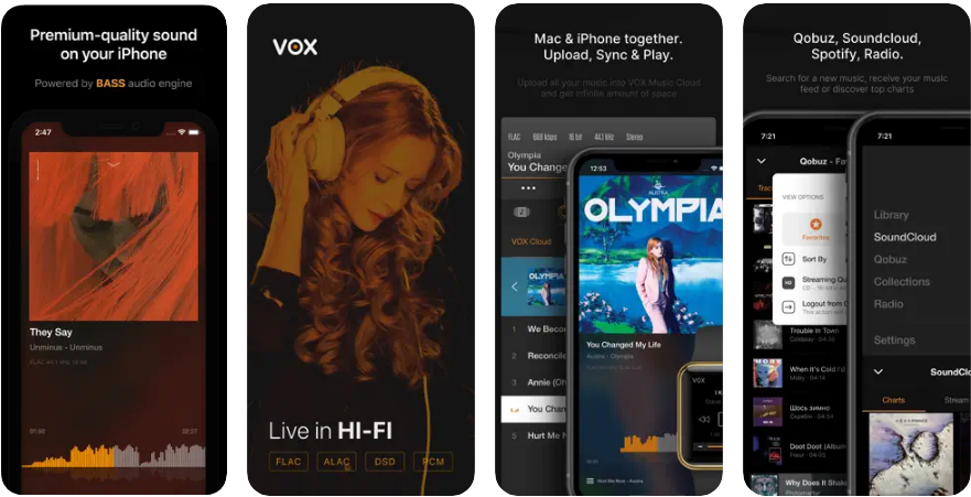 Як відтворювати музику у форматі FLAC на iPhone та iPad VOX FLAC для iPhone