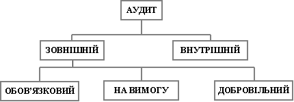 Види аудиту