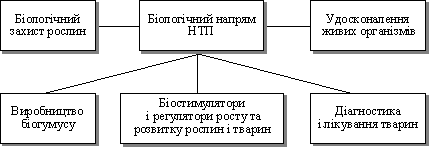 Основні складові біологічного напряму НТП