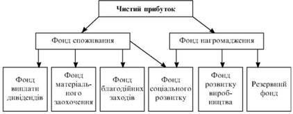 Розподіл чистого прибутку підприємства