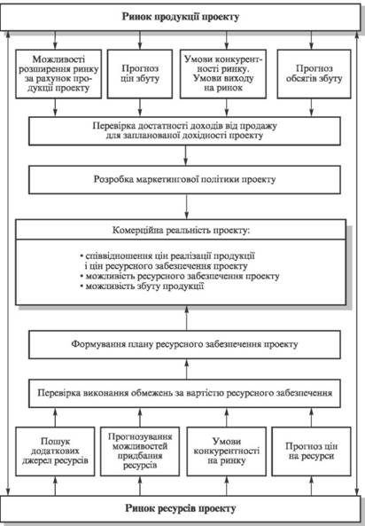 Аналіз комерційної реальності проекту