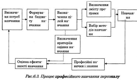 процес професійного навчання персоналу