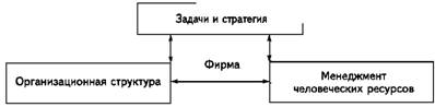 Влияние стратегии и организационной структуры предприятия на менеджмент человеческих ресурсов