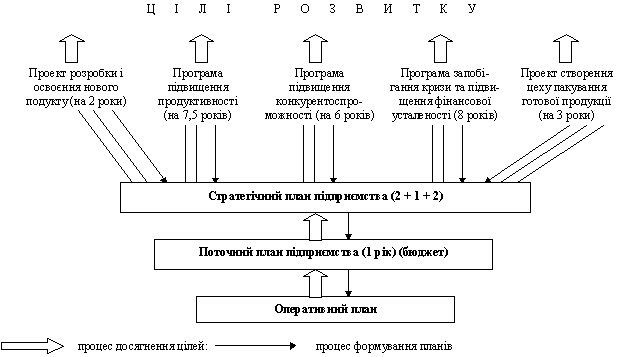 Принципова схема взаємозв’язку цілей розвитку та системи планів 