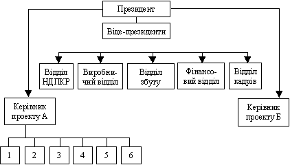 Проектна структура, побудована за лінійнопрограмним принципом: